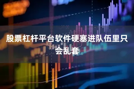 股票杠杆平台软件硬塞进队伍里只会乱套