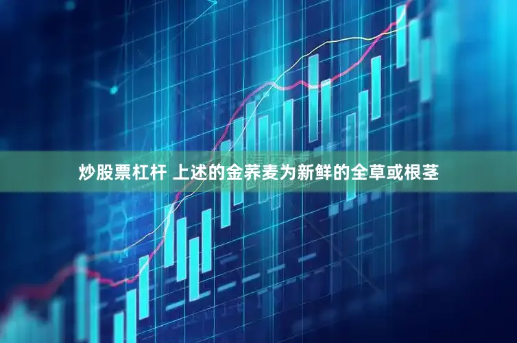 炒股票杠杆 上述的金荞麦为新鲜的全草或根茎