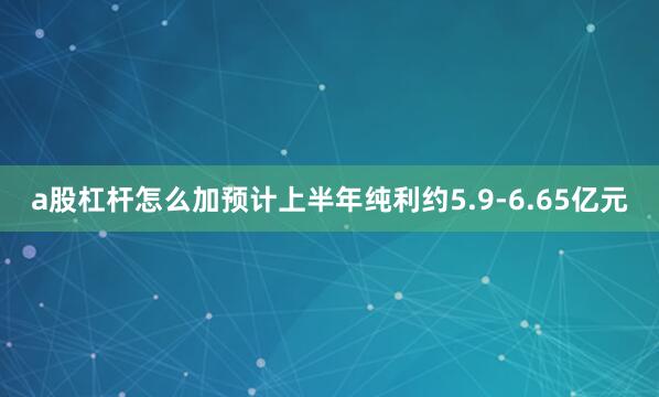a股杠杆怎么加预计上半年纯利约5.9-6.65亿元