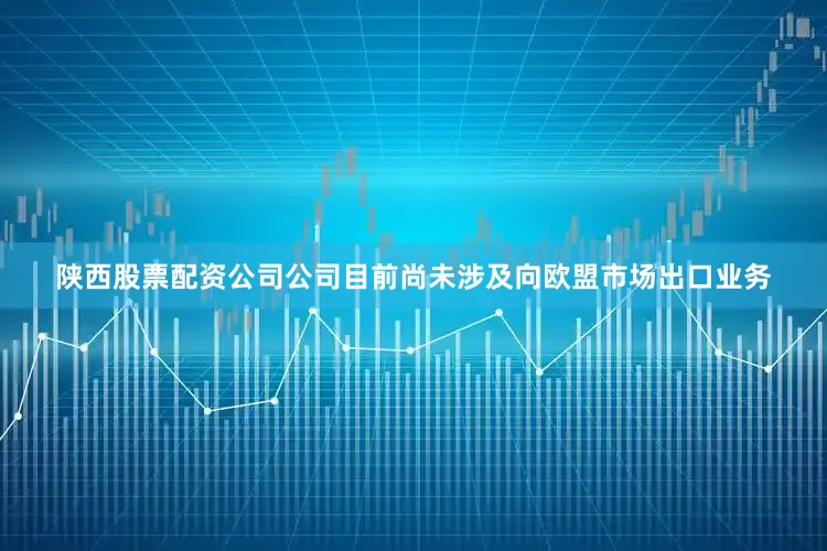陕西股票配资公司公司目前尚未涉及向欧盟市场出口业务