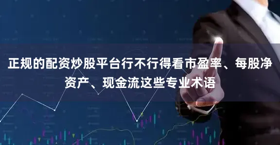 正规的配资炒股平台行不行得看市盈率、每股净资产、现金流这些专业术语