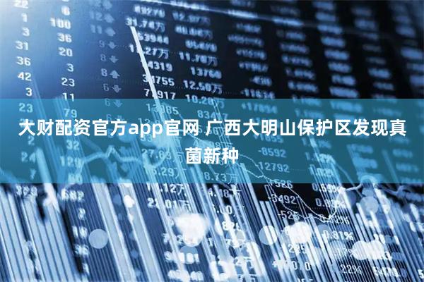 大财配资官方app官网 广西大明山保护区发现真菌新种