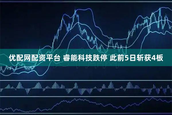 优配网配资平台 睿能科技跌停 此前5日斩获4板
