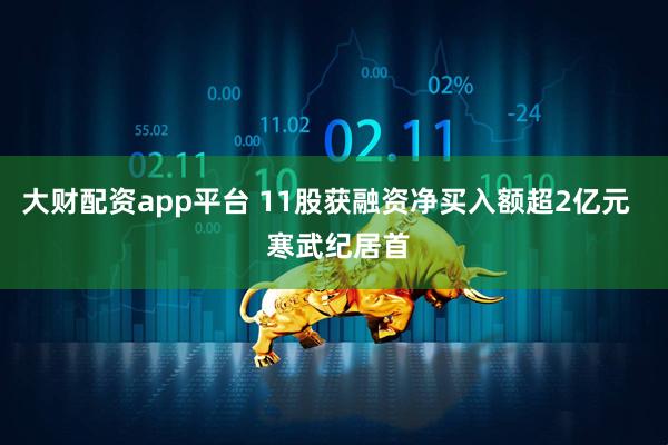 大财配资app平台 11股获融资净买入额超2亿元   寒武纪居首