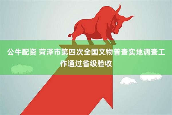 公牛配资 菏泽市第四次全国文物普查实地调查工作通过省级验收
